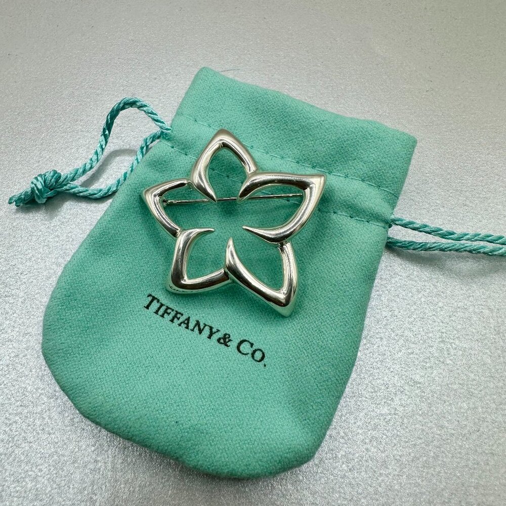 Tiffany & Co. Estate Star Fish Brooch in 925 Sterling Silver